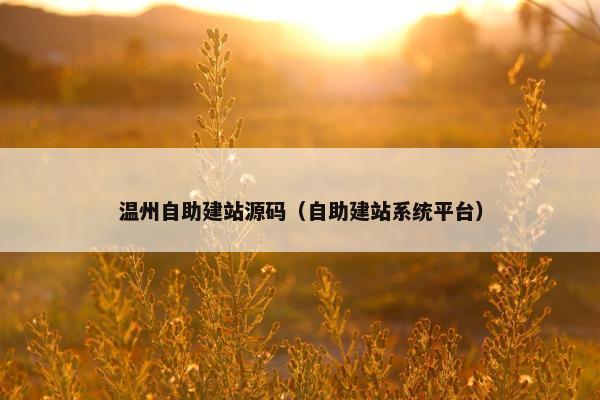 温州自助建站源码（自助建站系统平台）