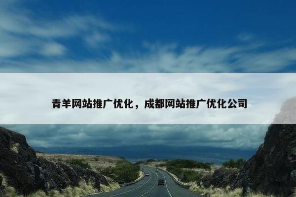 青羊网站推广优化，成都网站推广优化公司