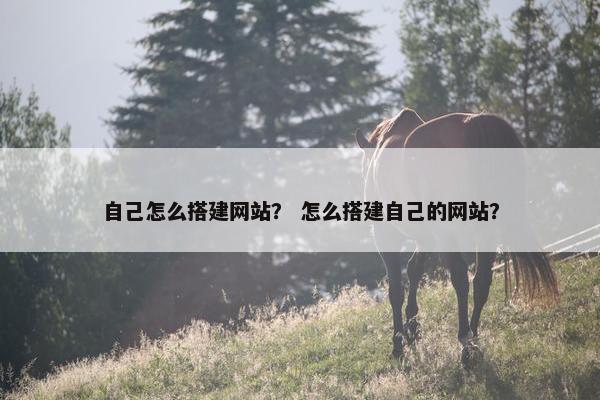 自己怎么搭建网站？ 怎么搭建自己的网站？