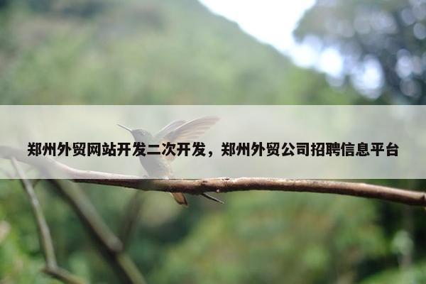 郑州外贸网站开发二次开发，郑州外贸公司招聘信息平台
