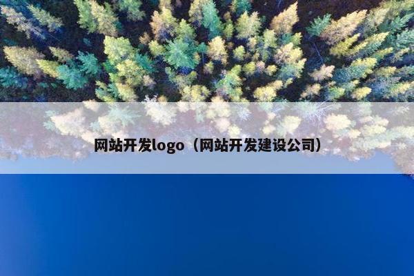 网站开发logo（网站开发建设公司）
