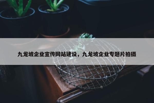 九龙坡企业宣传网站建设，九龙坡企业专题片拍摄