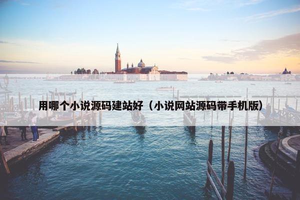 用哪个小说源码建站好（小说网站源码带手机版）