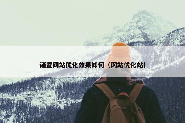 诸暨网站优化效果如何（网站优化站）