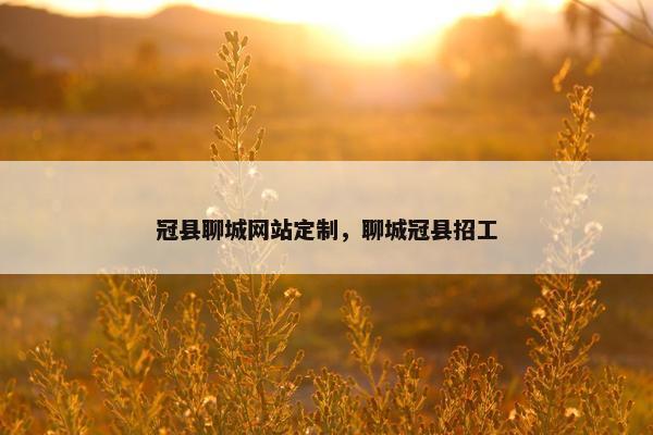 冠县聊城网站定制，聊城冠县招工