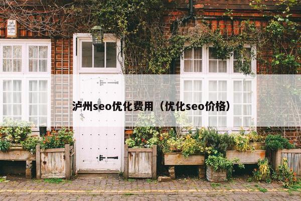 泸州seo优化费用（优化seo价格）