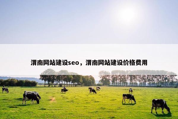 渭南网站建设seo，渭南网站建设价格费用