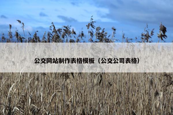 公交网站制作表格模板（公交公司表格）