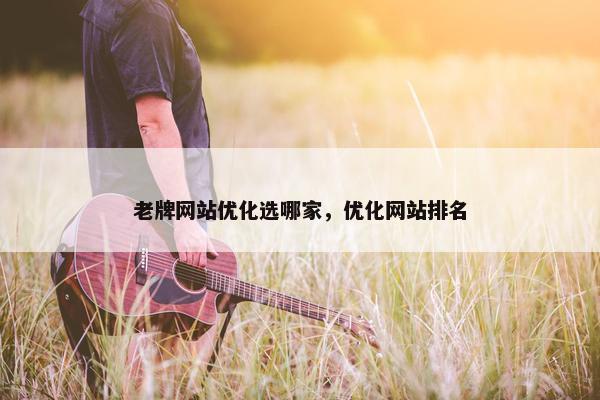 老牌网站优化选哪家，优化网站排名
