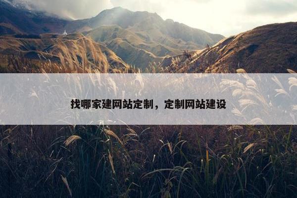 找哪家建网站定制，定制网站建设