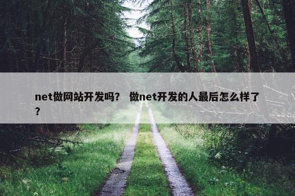 net做网站开发吗？ 做net开发的人最后怎么样了？