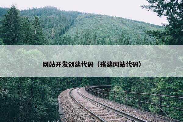 网站开发创建代码（搭建网站代码）