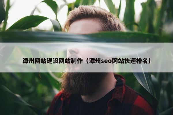 漳州网站建设网站制作（漳州seo网站快速排名）
