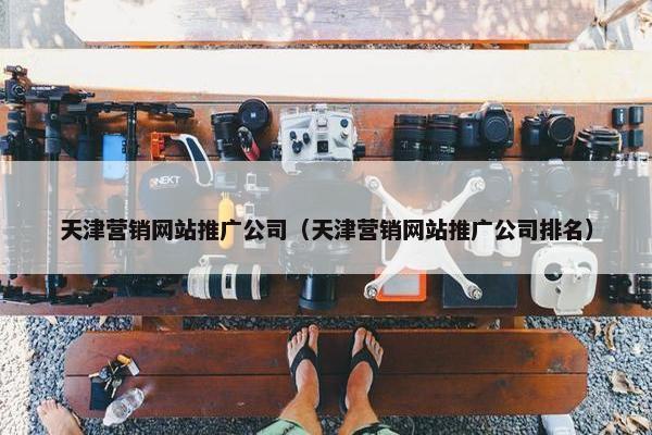 天津营销网站推广公司（天津营销网站推广公司排名）