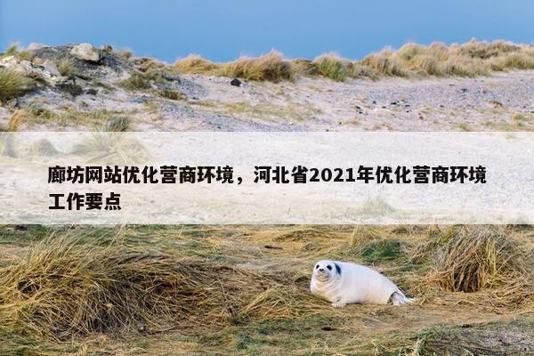 廊坊网站优化营商环境，河北省2021年优化营商环境工作要点