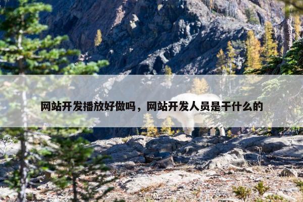 网站开发播放好做吗，网站开发人员是干什么的