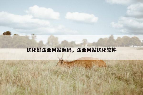 优化好企业网站源码，企业网站优化软件