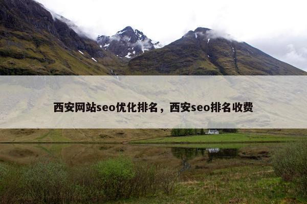 西安网站seo优化排名，西安seo排名收费