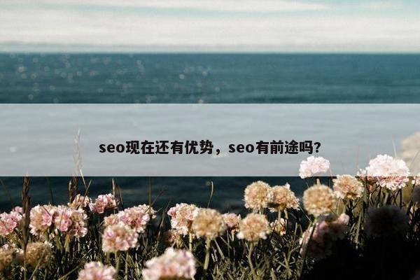 seo现在还有优势，seo有前途吗?