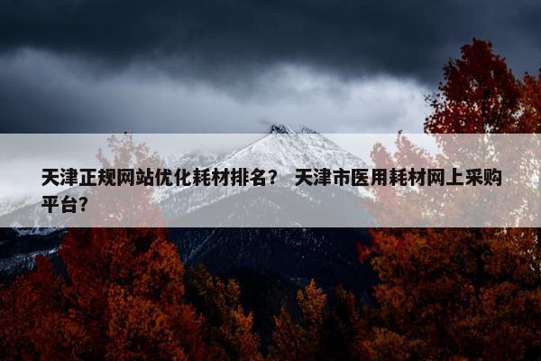 天津正规网站优化耗材排名？ 天津市医用耗材网上采购平台？