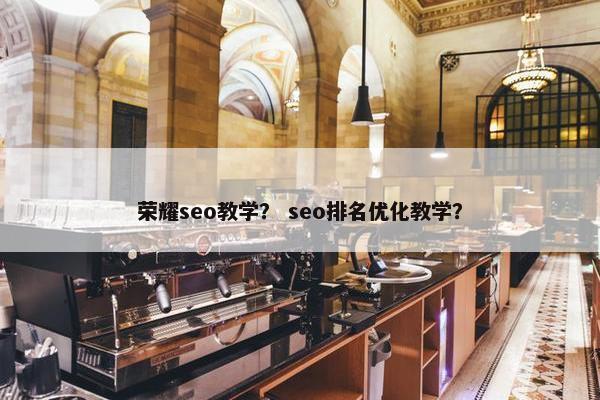 荣耀seo教学？ seo排名优化教学？