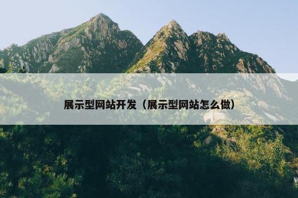 展示型网站开发（展示型网站怎么做）