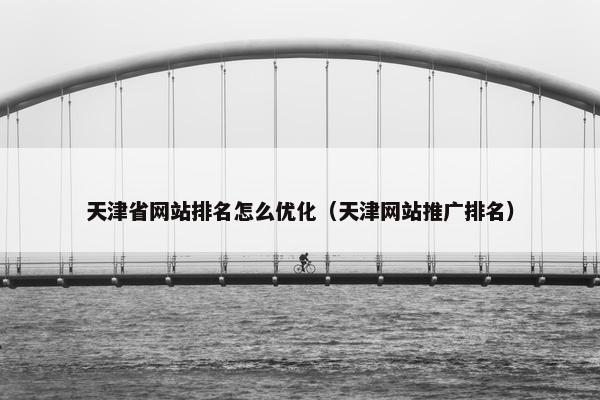 天津省网站排名怎么优化（天津网站推广排名）