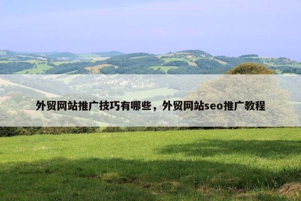 外贸网站推广技巧有哪些，外贸网站seo推广教程