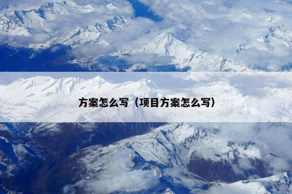 方案怎么写（项目方案怎么写）