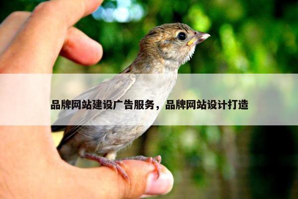 品牌网站建设广告服务，品牌网站设计打造