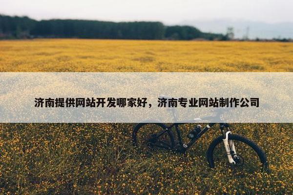 济南提供网站开发哪家好，济南专业网站制作公司