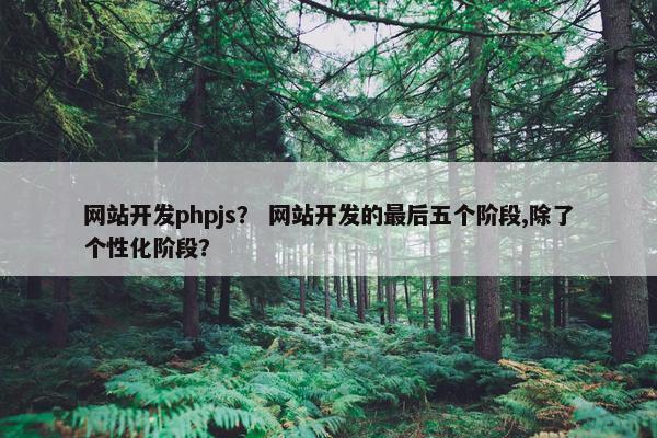 网站开发phpjs？ 网站开发的最后五个阶段,除了个性化阶段？