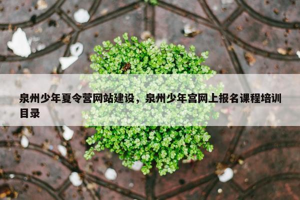 泉州少年夏令营网站建设，泉州少年宫网上报名课程培训目录