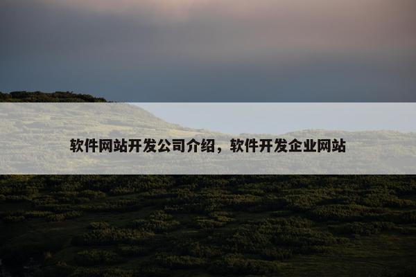 软件网站开发公司介绍，软件开发企业网站