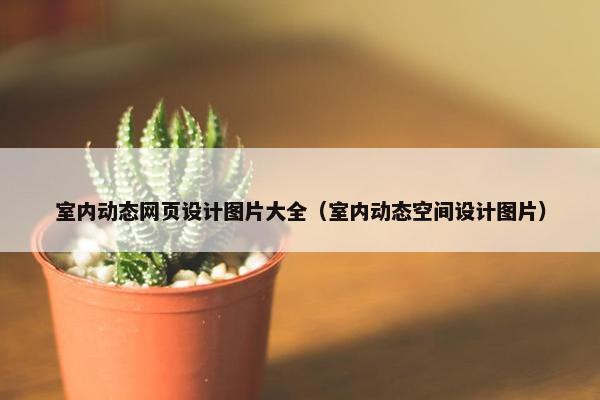 室内动态网页设计图片大全（室内动态空间设计图片）