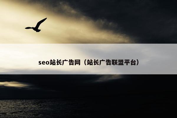 seo站长广告网（站长广告联盟平台）