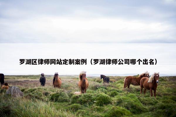 罗湖区律师网站定制案例（罗湖律师公司哪个出名）