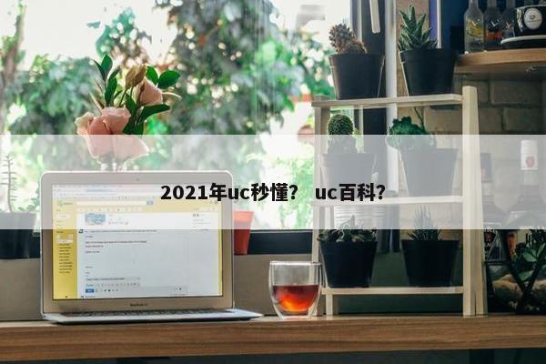 2021年uc秒懂？ uc百科？