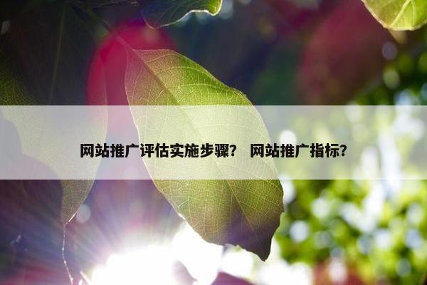 网站推广评估实施步骤？ 网站推广指标？