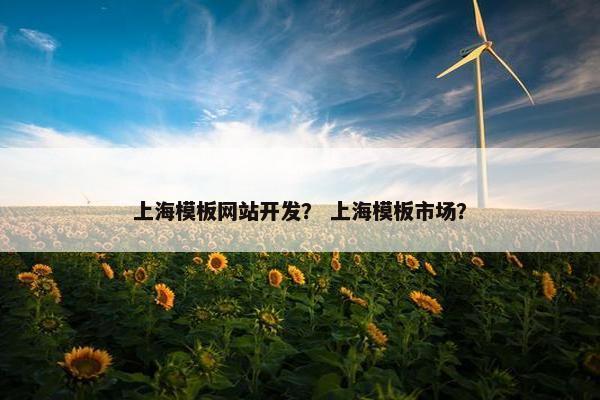 上海模板网站开发？ 上海模板市场？
