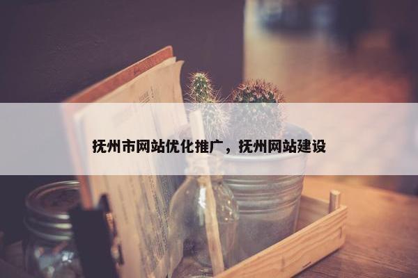抚州市网站优化推广，抚州网站建设
