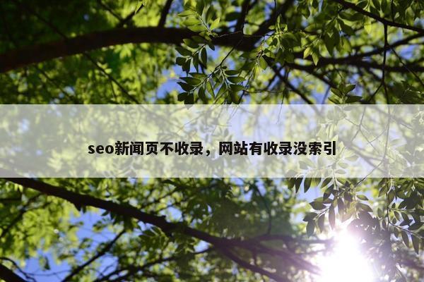 seo新闻页不收录，网站有收录没索引