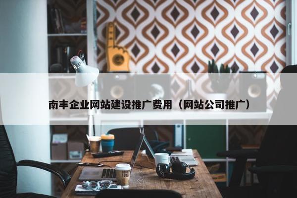 南丰企业网站建设推广费用（网站公司推广）