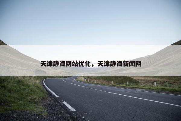 天津静海网站优化，天津静海新闻网