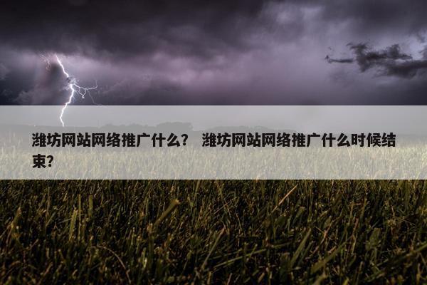 潍坊网站网络推广什么？ 潍坊网站网络推广什么时候结束？