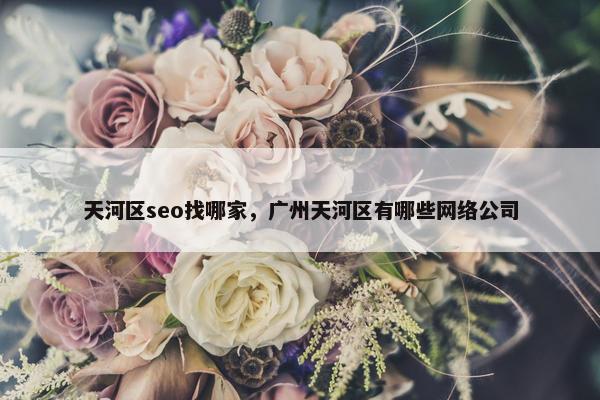天河区seo找哪家，广州天河区有哪些网络公司