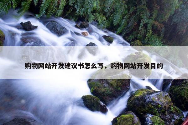 购物网站开发建议书怎么写，购物网站开发目的