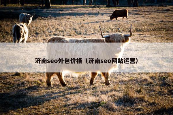 济南seo外包价格（济南seo网站运营）