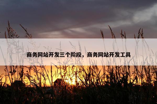 商务网站开发三个阶段，商务网站开发工具