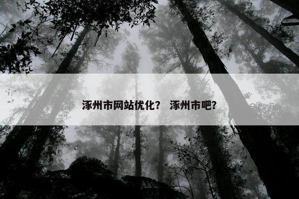 涿州市网站优化？ 涿州市吧？